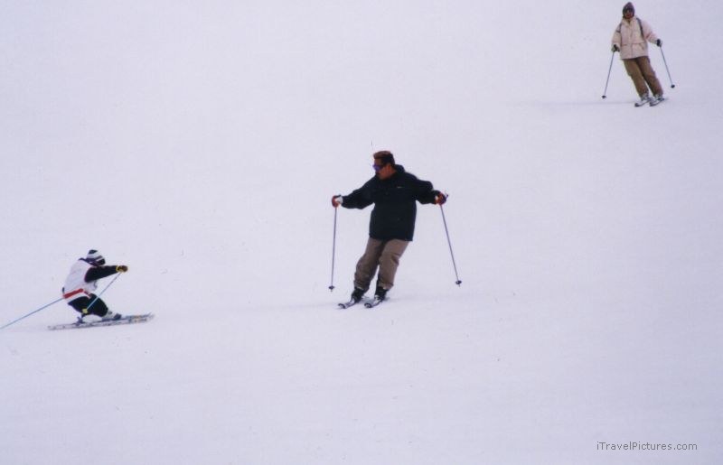 Fujiwara Fujiwara ski skiing boy man snow